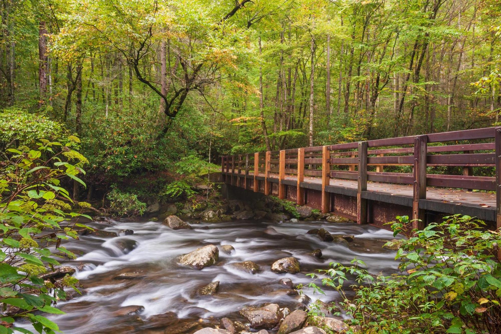 Lazy Bear Lodge, Hot Tub, Resort Pool, Wifi, 1089 Free Tickets Each Paid Day, Dollywood And More Гатлінбург Екстер'єр фото
