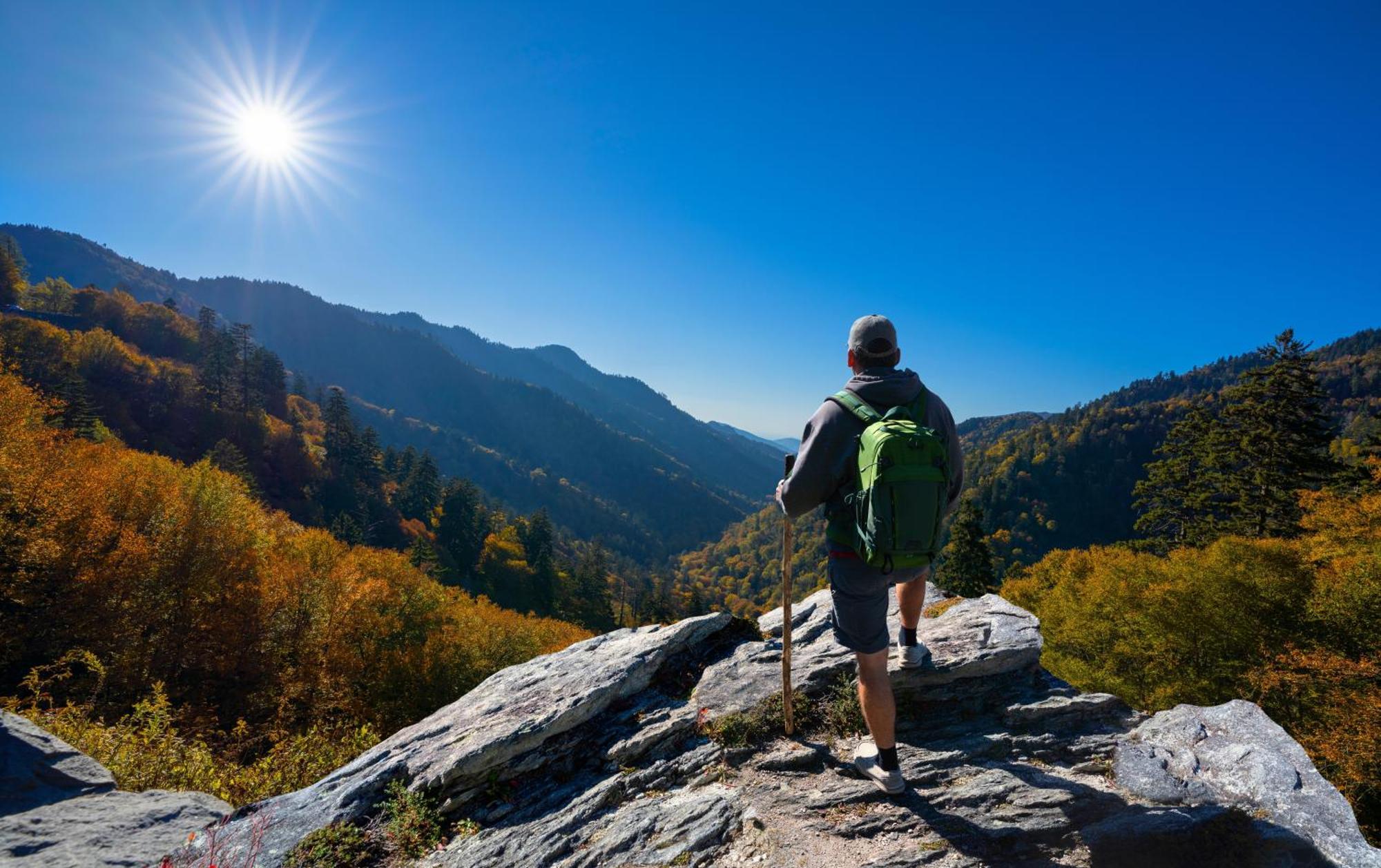 Lazy Bear Lodge, Hot Tub, Resort Pool, Wifi, 1089 Free Tickets Each Paid Day, Dollywood And More Гатлінбург Екстер'єр фото